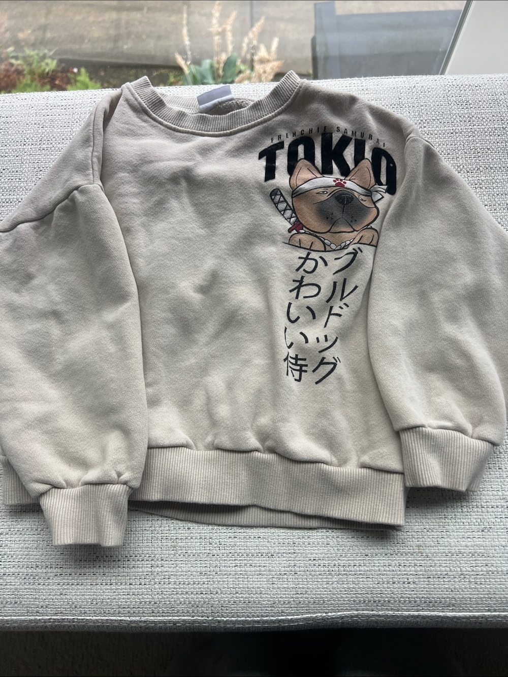 Zara Beige Bulldog Tokyo Graphic Sweatshirt